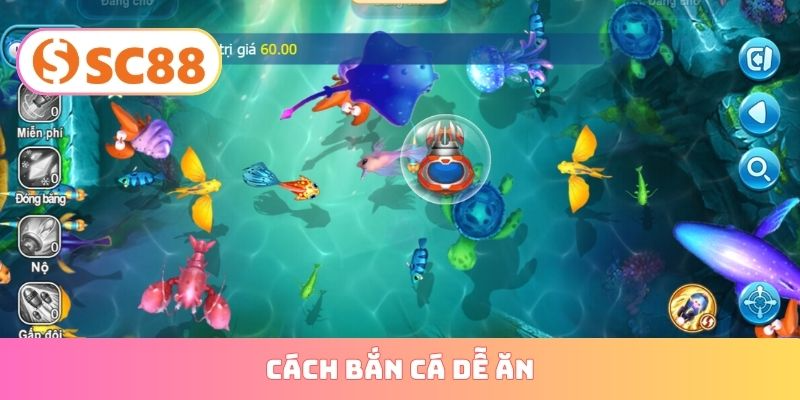 cách bắn cá dễ ăn